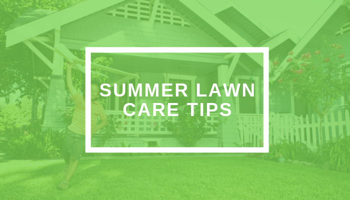 Birch's Lawn Care, Kennewick Summer Lawn Tips