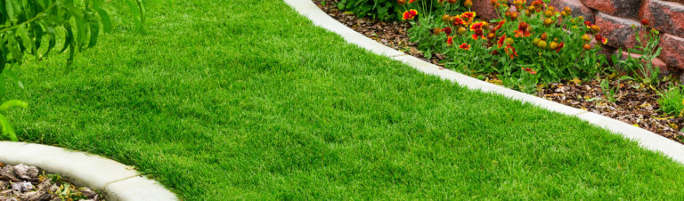 Freshly edged lawn by Birch's Lawn Care and Landscaping