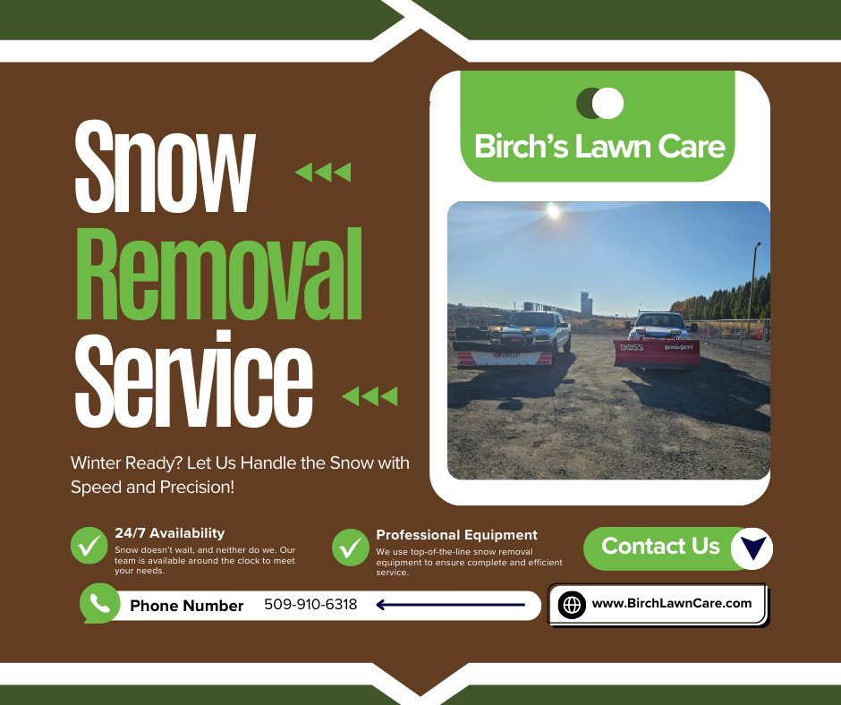 snow removal service