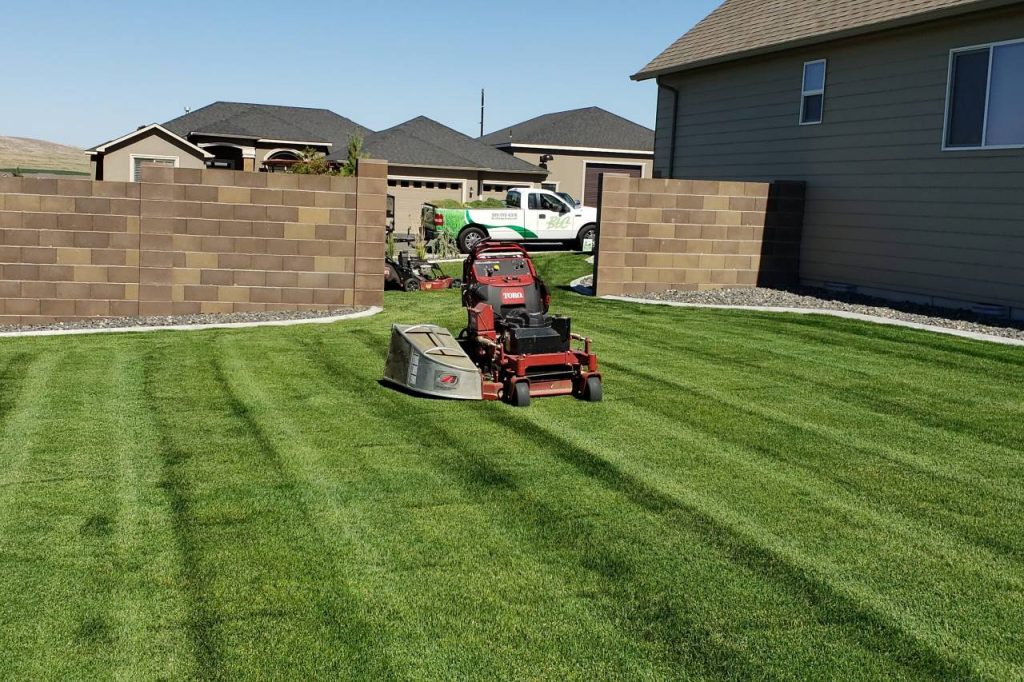 lawn care fertilization services