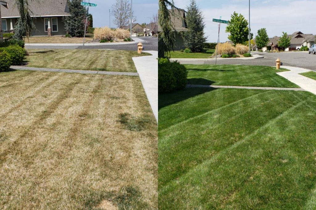 lawn fertilizing service