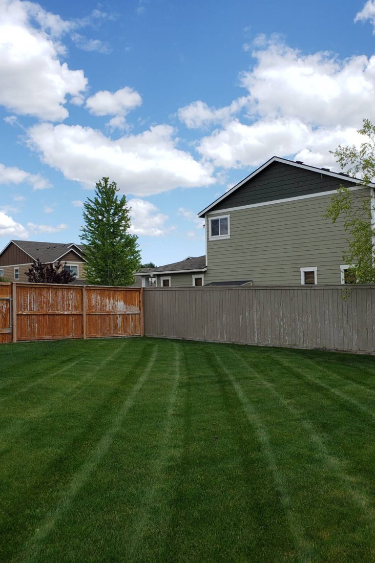 weed control in Pasco