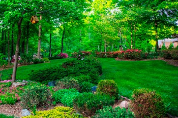 maintained garden beautifully cared for by birch's lawn care in Tri-Cities, WA