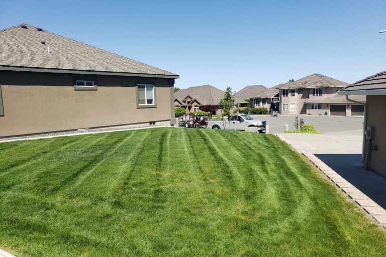 lawn care & maintenance services in Pasco