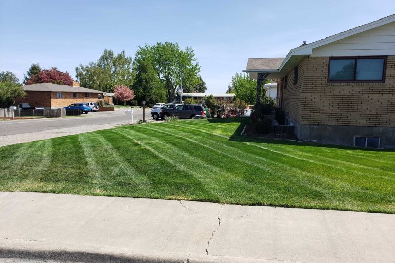 lawn care & maintenance in Richland