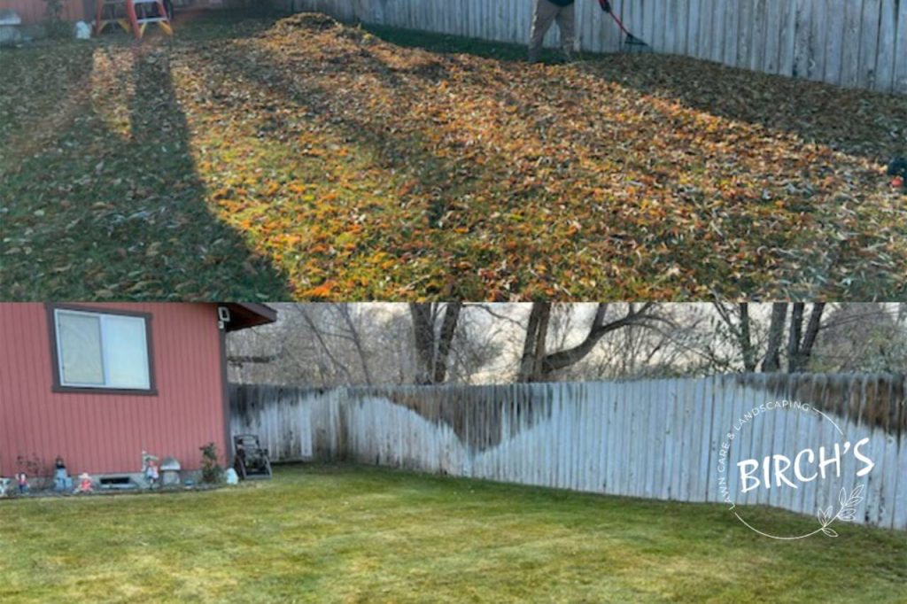 leaf removal for a healthy winter lawn