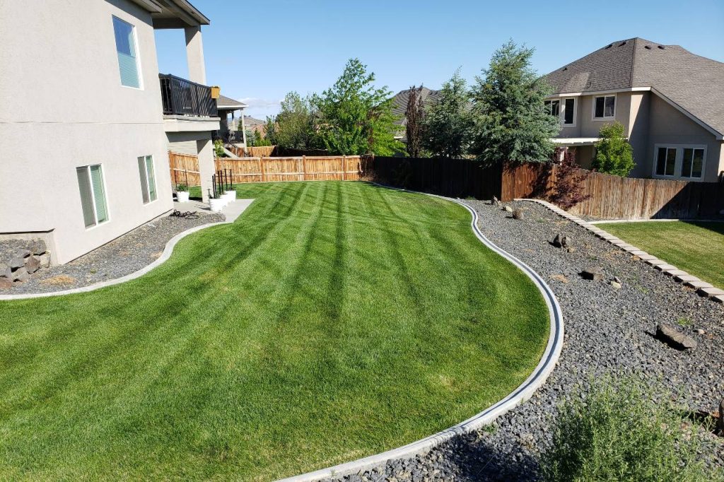 importance of year-round lawn care