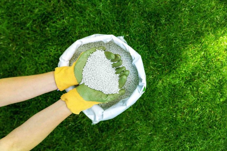 a photo of fertilizer
