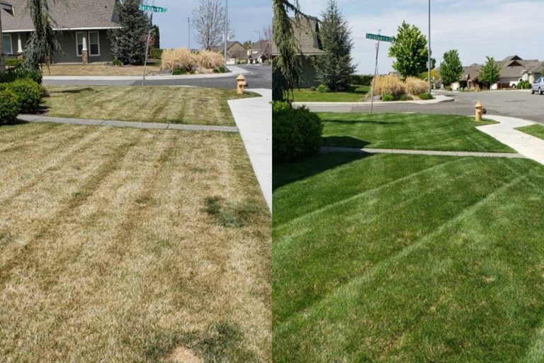 before and after photo of fertilizer services in Pasco, WA