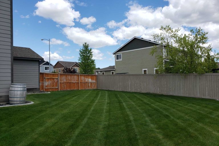 a well-maintained lawn