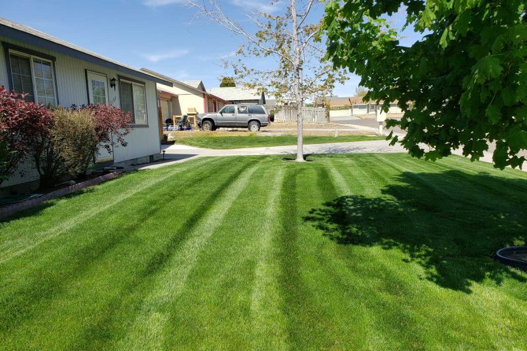 professional lawn treatment programs in Tri-Cities