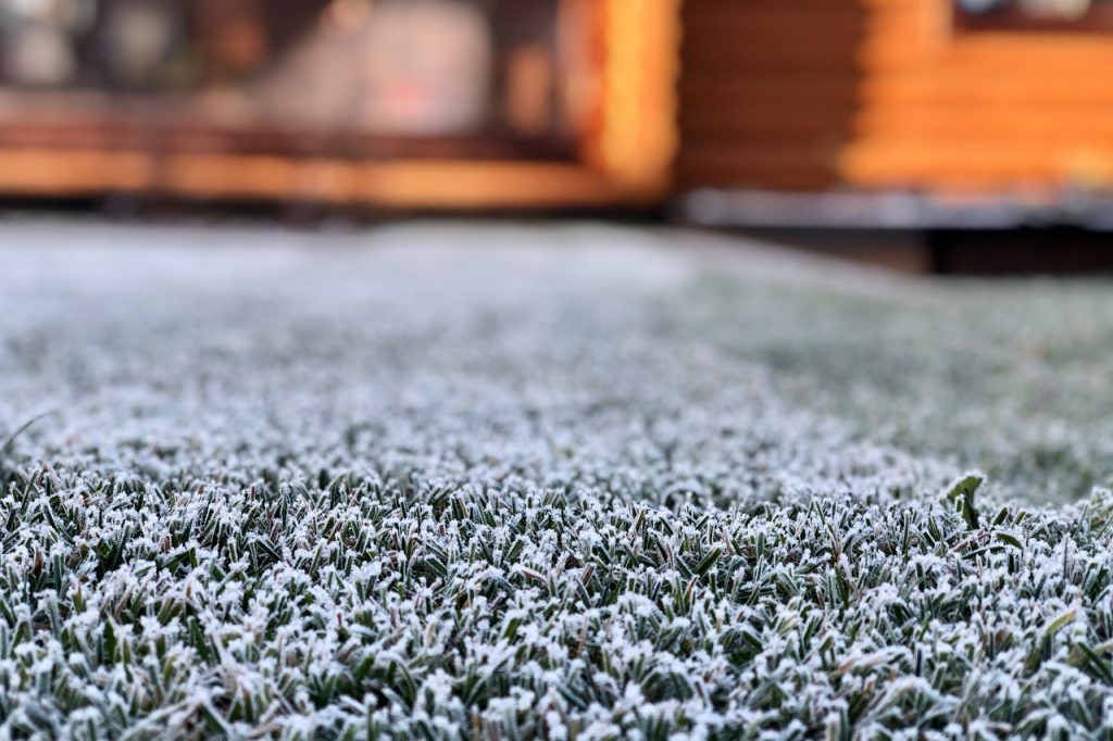 winter to spring lawn condition early spring lawn care